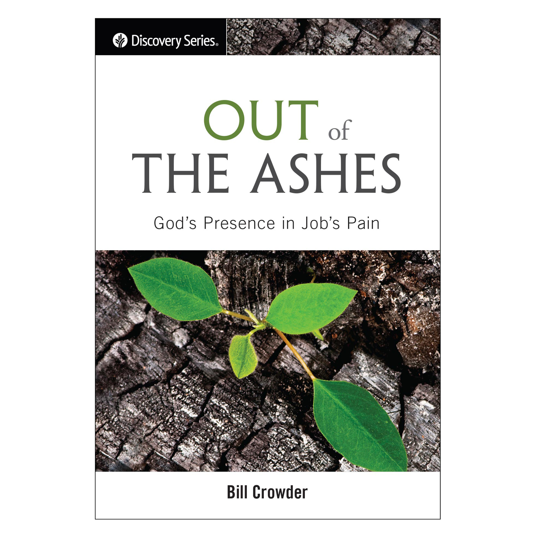 Featured Resource: Out of the Ashes